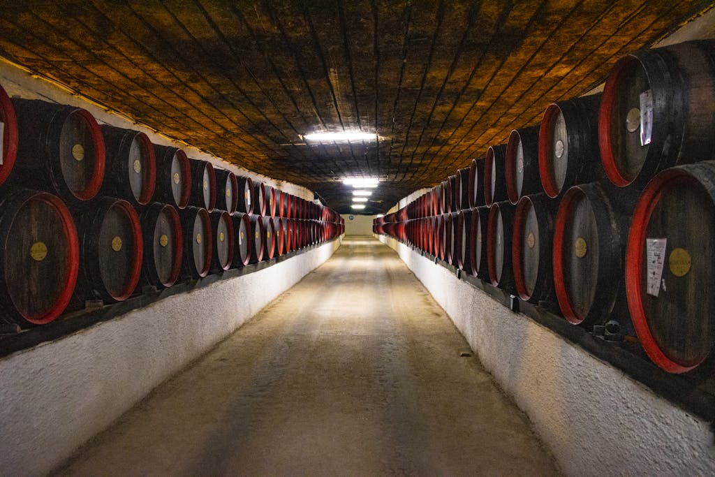 Long corridor of wooden barrels in a winery cellar, perfect for wine production and aging.